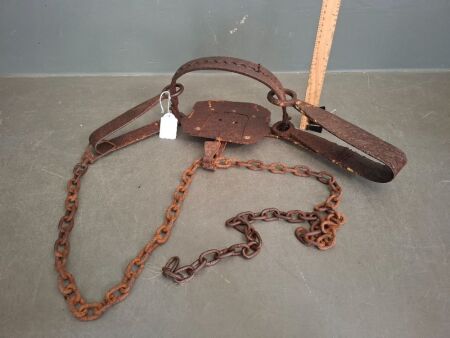 Large Dog Trap - Marked