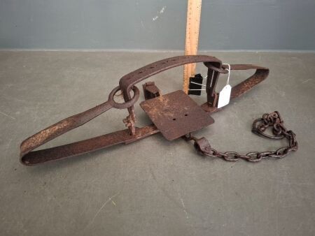 Large Dog Trap - Made in Australia - Marked