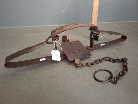 Large Lanes Dog Trap - Made in Australia