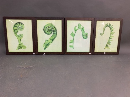 Set of 4 Framed Fiddle Fern Prints