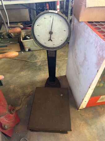 THE TROJEN Platform scales