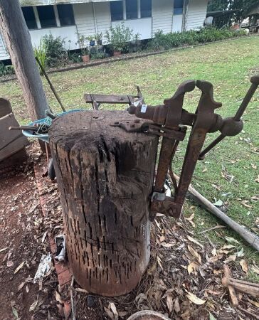 Blacksmiths leg vice on stump - leg missing