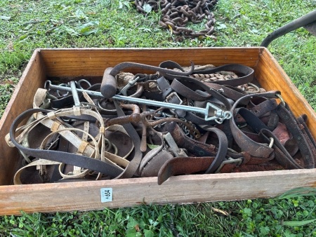 Assorted horse gear