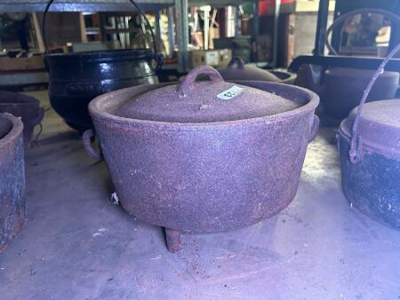 Cast iron 11in camp oven