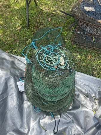 Quantity of opera house traps