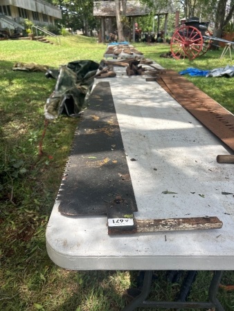 Crosscut saw