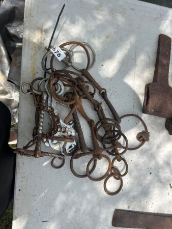 Variety of collectable horse bits (CHOICE 676 - 684)