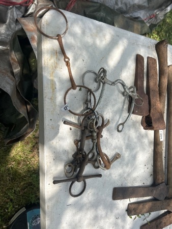 Variety of collectable horse bits (CHOICE 676 - 684)
