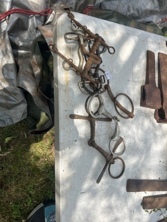 Variety of collectable horse bits (CHOICE 676 - 684)