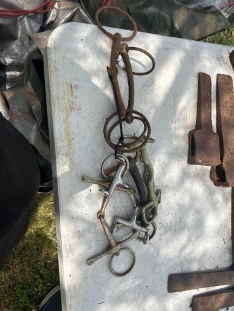 Variety of collectable horse bits (CHOICE 676 - 684)