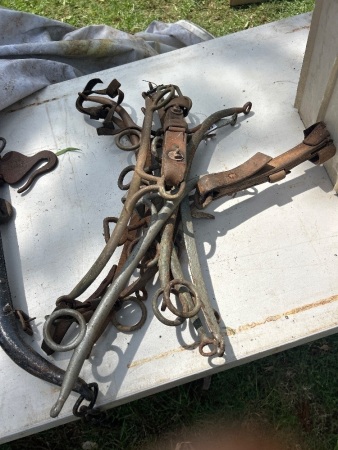 Assorted horse hames - mostly brass