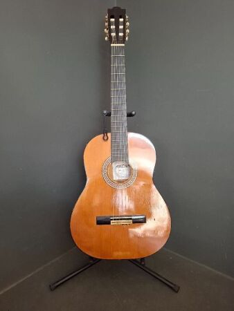 Amenda Guitar and Stand