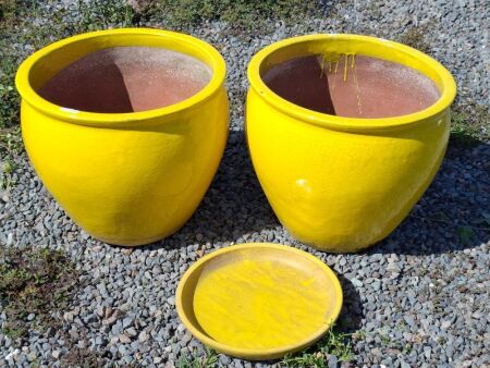 2 x Large Yellow Terracotta Garden Pots
