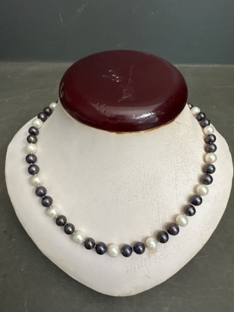 Vintage Single Strand of Pearls Classification Akoya