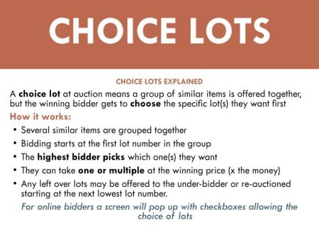 CHOICE LOTS EXPLAINED - A choice lot at auction means a group of similar items is offered together, but the winning bidder gets to choose the specific lot(s) they want first - How it works: 1. Several similar items are grouped together - 2. Bidding starts