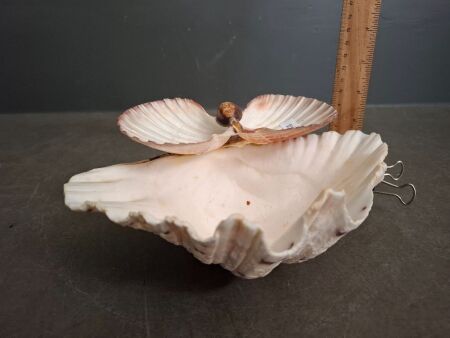 Mid Century Modern Clam Shell Serving Bowl