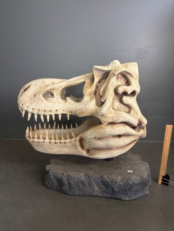 Large Reproduction TREX Dinosaur Scull