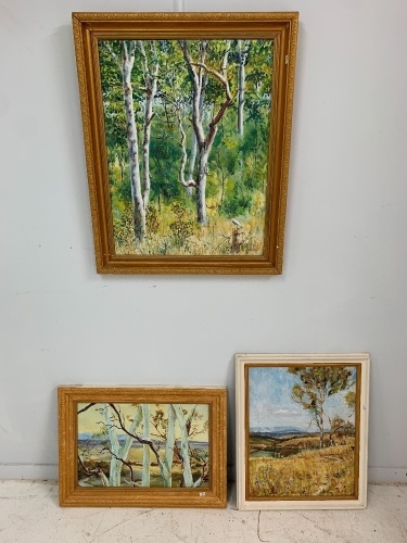 3 Original Framed Paintings of Gum Trees