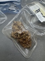 Parts of Meteorites - Founds in Sahara Desert, Morocco & Argentina - 2