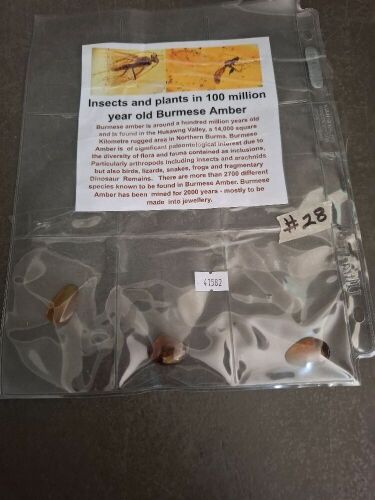 3 Burmese Amber Specimens - 100 Million Year Old