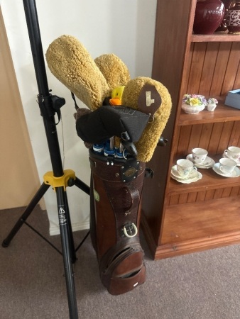 Set of Golf Clubs in Bag