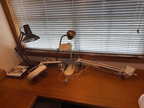 Assorted lot of magnifying lights, magnifier, and lights