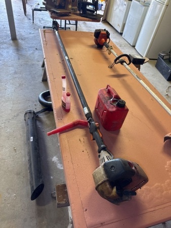 Stihl extendable pole saw