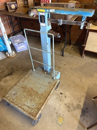 Mercury platform scales
