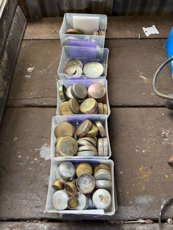Assorted welsh plugs