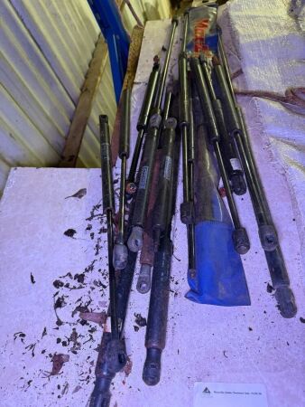 Gas Struts