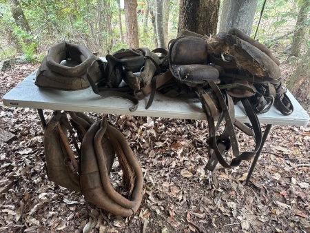 Large Lot of Horse Harness, Tacks and Collars
