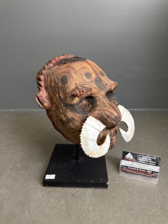 Over-modelled Sepik Skull