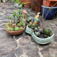 Collection of Small Asian Ceramic Figures + 3 Planted Cactus/Succulent Bowls - 2