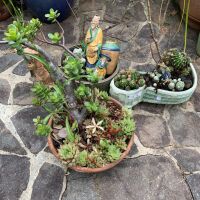 Collection of Small Asian Ceramic Figures + 3 Planted Cactus/Succulent Bowls - 3