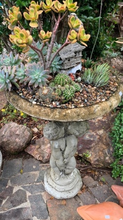 Tall Cherub Bird Bath Planted with Cacti & Succulents