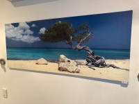Coastal scene print on canvas