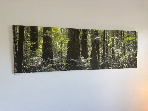 Rainforest scene print on canvas