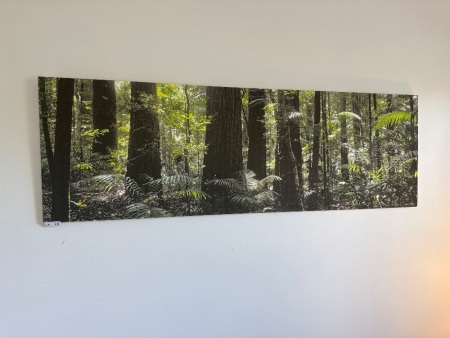 Rainforest scene print on canvas