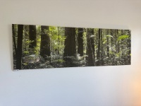 Rainforest scene print on canvas