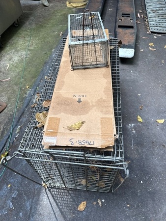Vermin traps