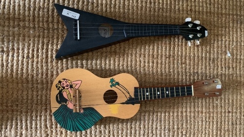 2 Ukuleles - 1 V-Shaped