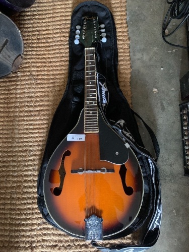 Fender Mandolin in Case