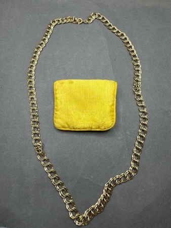 Large Gold Toned Chain