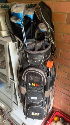 Set of Wilson Golf Clubs in CAT Bag + Large Qty of Balls in Basket