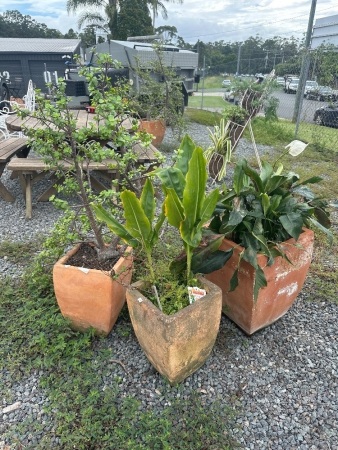 2 Small Terracotta Pots + Large Terracotta Pot