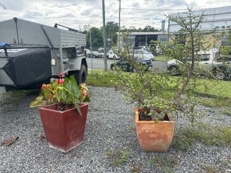 2 Large Pots - 1 x Terracotta - 1 x Red Speckled