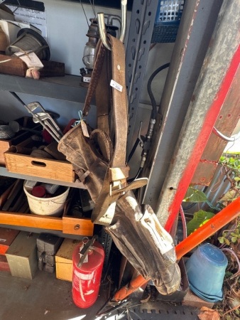 Antique golf bag with clubs and weight belt