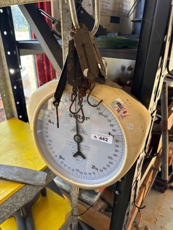 Set of Salter hanging scales plus various brass hanging pocket scales
