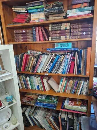 Large Lot of Books