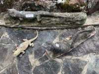 3 Concrete Garden Lizards